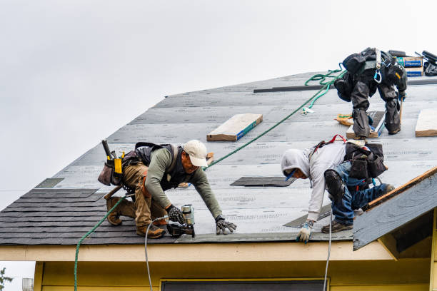 Professional Emergency Roof Repair technician working in Geneva, IA